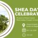 Buipe to Host Shea Day 2026 as Ghana Celebrates Women, Sustainability and the Future of the Shea Industry