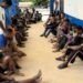 Police Arrest 258 for Violent Disturbances at Nsawam-Adoagyiri
