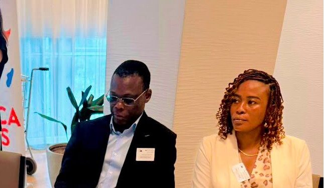 Hon. Joana Gyan Cudjoe Represents Ghana at Africa Days in Brussels