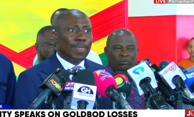 ‘You Cannot Claim Forex Gains and Dump Losses on BoG’ – Afenyo-Markin Challenges GoldBod
