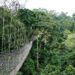 58-Year-Old Wildlife Guard Shot Dead at Kakum Forest Reserve