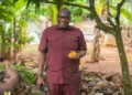 COCOBOD Warns LBCs Against Buying Cocoa from Farmers on Credit