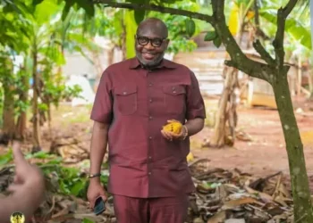 COCOBOD Warns LBCs Against Buying Cocoa from Farmers on Credit