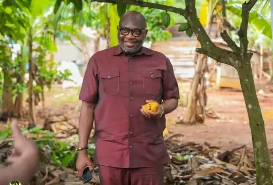 COCOBOD Warns LBCs Against Buying Cocoa from Farmers on Credit