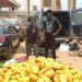 Police Arrest Two, Seize 692 Parcels of Suspected Indian Hemp at Dawhenya
