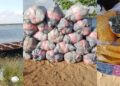 Police Intercept Canoe Carrying 2,213 Slabs of Suspected Indian Hemp