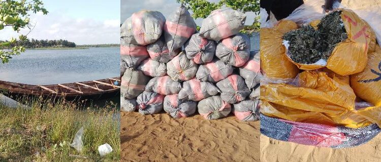 Police Intercept Canoe Carrying 2,213 Slabs of Suspected Indian Hemp