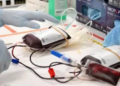 Jehovah’s Witnesses Maintain Ban on Whole-Blood Transfusions, Leave Blood Component Use to Personal Conscience