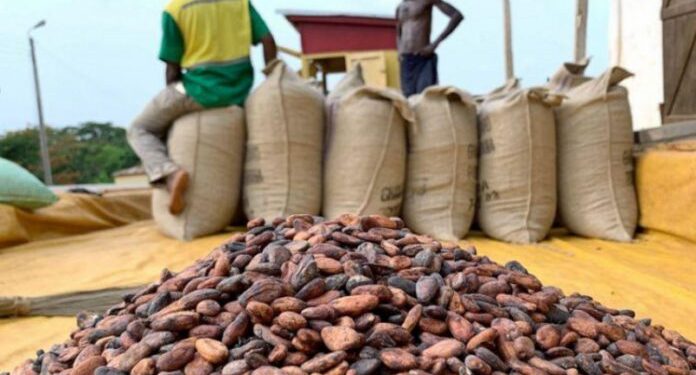 COCOBOD Increases Cocoa Producer Price to GH¢2,650 Per 64kg Bag for 2026/27 Season