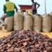 COCOBOD Increases Cocoa Producer Price to GH¢2,650 Per 64kg Bag for 2026/27 Season